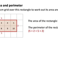 Area and Perimeter Year 5 - thumbnail 3 of 6