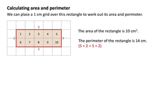 Area and Perimeter Year 5 - image 3 of 6
