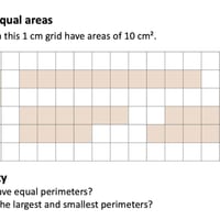 Area and Perimeter Year 5 - thumbnail 5 of 6