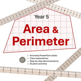 Area and Perimeter Year 5 - image 1 of 6
