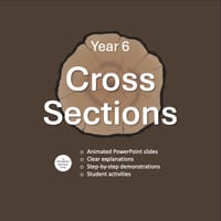 Cross Sections Year 6 - thumbnail 1 of 6