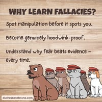 Hasty Generalisation Question Pack: Critical Thinking, Comic, Comprehension - thumbnail 5 of 8