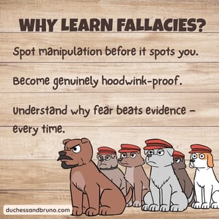 Hasty Generalisation Question Pack: Critical Thinking, Comic, Comprehension - image 5 of 8