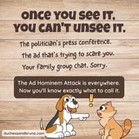 Ad Hominem Attack Question Pack: Critical Thinking, Comic, Comprehension - thumbnail 5 of 8