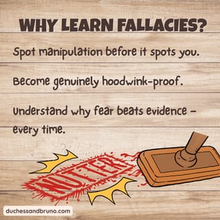 Ad Hominem Attack Question Pack: Critical Thinking, Comic, Comprehension - image 6 of 8