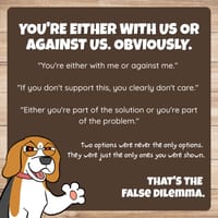False Dilemma Question Pack: Critical Thinking, Comic, Comprehension - thumbnail 2 of 8