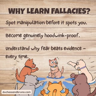 False Dilemma Question Pack: Critical Thinking, Comic, Comprehension - image 6 of 8