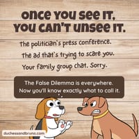 False Dilemma Question Pack: Critical Thinking, Comic, Comprehension - thumbnail 5 of 8