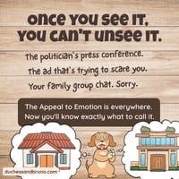 Appeal to Emotion Question Pack: Critical Thinking, Comic, Comprehension - thumbnail 5 of 8