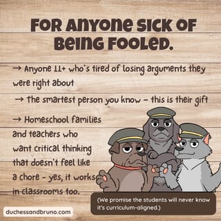 You Too Fallacy Question Pack: Critical Thinking, Comic, Comprehension - image 4 of 8
