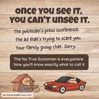 No True Scotsman Question Pack: Critical Thinking, Comic, Comprehension - thumbnail 5 of 8