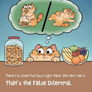 False Dilemma Poster - image 3 of 9