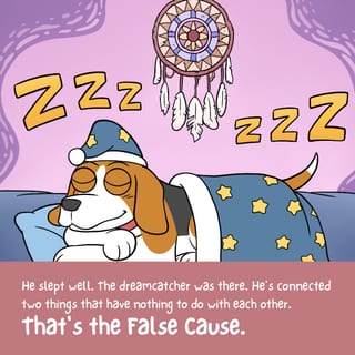 False Cause Fallacy Poster - image 3 of 9