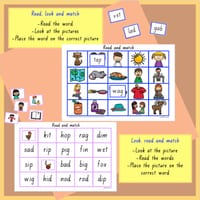 Literacy - CVC Word & Picture Match Activity