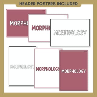 Morphology Poster & Anchor Chart | Morphemes, Bases, Affixes, Prefixes, Suffixes, Compound Word - image 7 of 8