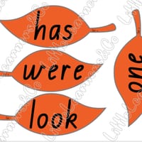 Prep/Foundation Tricky Words /Sight Words Resource (QLD Font) Aligned with InitiaLit - thumbnail 2 of 5