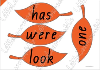 Prep/Foundation Tricky Words /Sight Words Resource (QLD Font) Aligned with InitiaLit - image 2 of 5