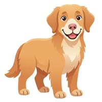Animals Flashcards - thumbnail 3 of 5