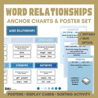 Word Relationship Vocabulary Posters | Homophones, Synonyms, Antonyms & More - thumbnail 1 of 8