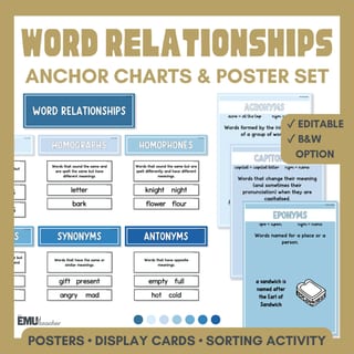 Word Relationship Vocabulary Posters | Homophones, Synonyms, Antonyms & More - image 1 of 8