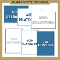 Word Relationship Vocabulary Posters | Homophones, Synonyms, Antonyms & More - thumbnail 7 of 8