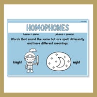 Word Relationship Vocabulary Posters | Homophones, Synonyms, Antonyms & More - thumbnail 8 of 8