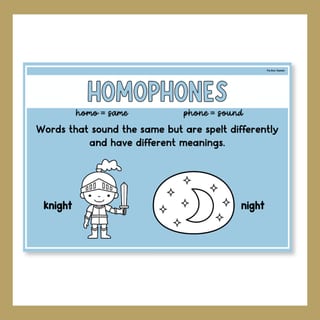 Word Relationship Vocabulary Posters | Homophones, Synonyms, Antonyms & More - image 8 of 8