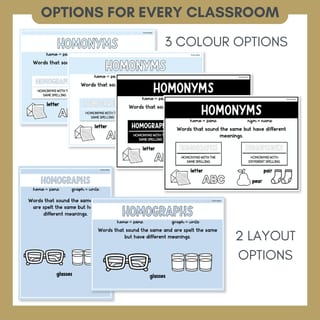 Word Relationship Vocabulary Posters | Homophones, Synonyms, Antonyms & More - image 5 of 8