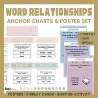 Word Relationship Vocabulary Posters | Homophones, Synonyms, Antonyms & More - thumbnail 1 of 8