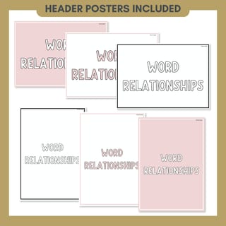 Word Relationship Vocabulary Posters | Homophones, Synonyms, Antonyms & More - image 7 of 8