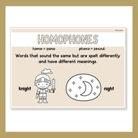 Word Relationship Vocabulary Posters | Homophones, Synonyms, Antonyms & More - thumbnail 8 of 8