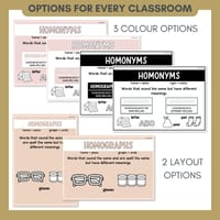 Word Relationship Vocabulary Posters | Homophones, Synonyms, Antonyms & More - thumbnail 5 of 8