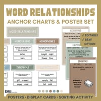 Word Relationship Vocabulary Posters | Homophones, Synonyms, Antonyms & More - thumbnail 1 of 8
