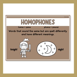 Word Relationship Vocabulary Posters | Homophones, Synonyms, Antonyms & More - image 8 of 8