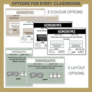 Word Relationship Vocabulary Posters | Homophones, Synonyms, Antonyms & More - image 5 of 8