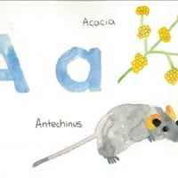 Alphabet Posters - Australian Plants & Animals - thumbnail 1 of 3