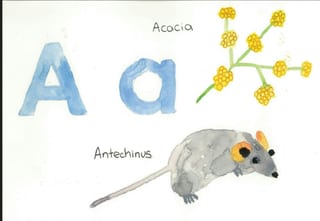Alphabet Posters - Australian Plants & Animals - image 1 of 3