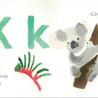 Alphabet Posters - Australian Plants & Animals - thumbnail 3 of 3