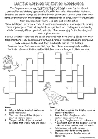 Australian Animal Mega Pack (AU and US Spelling) - image 5 of 6