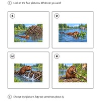 The Beaver's Busy Building Day | Reading Comprehension & Writing | Grades 1-2 - thumbnail 3 of 4
