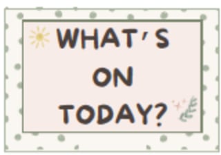 Student Using A Visual Timetable Sage & Sunshine Editable Classroom Timetable | Visual Schedule Cards ...