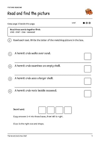 The Hermit Crab's New Shell | Reading Comprehension & Writing | Grades 1-2 - image 4 of 4